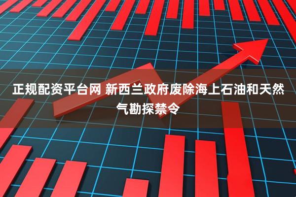 正规配资平台网 新西兰政府废除海上石油和天然气勘探禁令