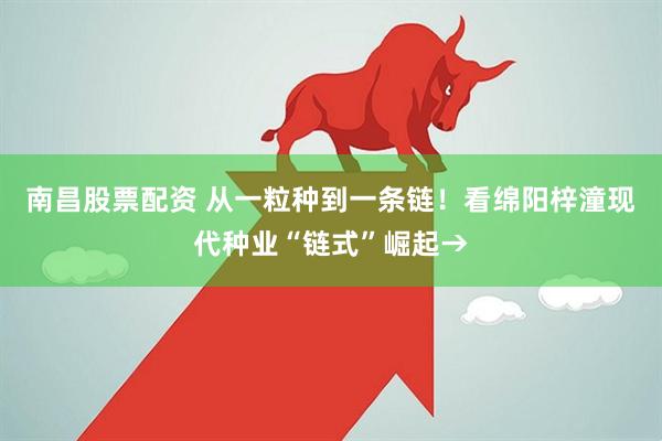 南昌股票配资 从一粒种到一条链！看绵阳梓潼现代种业“链式”崛起→