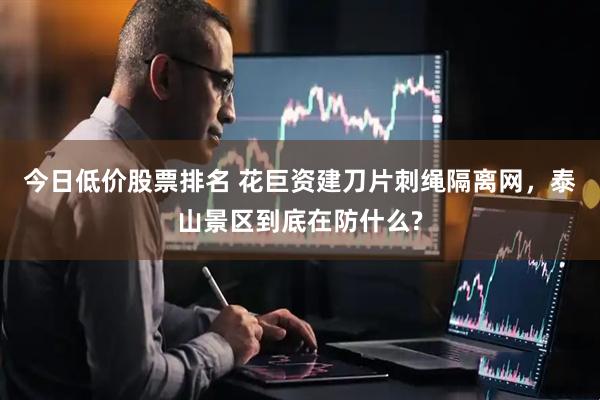 今日低价股票排名 花巨资建刀片刺绳隔离网，泰山景区到底在防什么?
